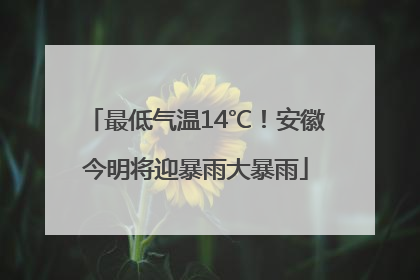 最低气温14℃！安徽今明将迎暴雨大暴雨