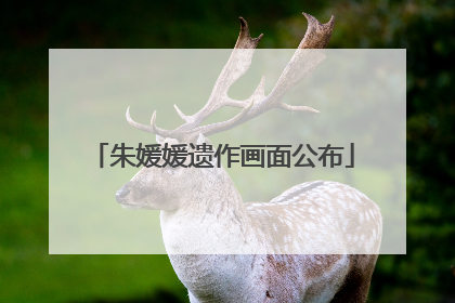 朱媛媛遗作画面公布