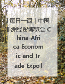 每日一词｜中国—非洲经贸博览会 China-Africa Economic and Trade Expo