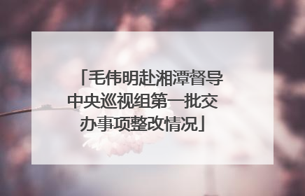 毛伟明赴湘潭督导中央巡视组第一批交办事项整改情况