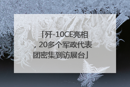 歼-10CE亮相，20多个军政代表团密集到访展台