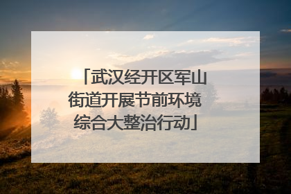武汉经开区军山街道开展节前环境综合大整治行动