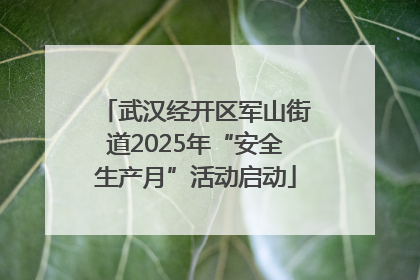 武汉经开区军山街道2025年“安全生产月”活动启动