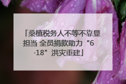 桑植税务人不等不靠显担当 全员捐款助力“6·18”洪灾重建