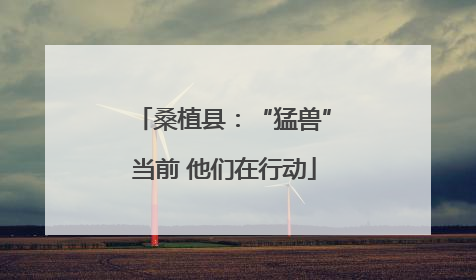 桑植县：“猛兽”当前 他们在行动