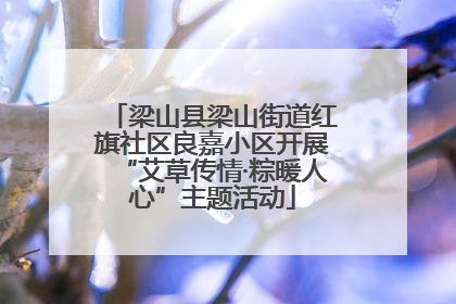 梁山县梁山街道红旗社区良嘉小区开展“艾草传情·粽暖人心”主题活动