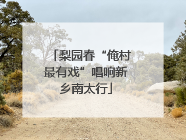 梨园春“俺村最有戏”唱响新乡南太行