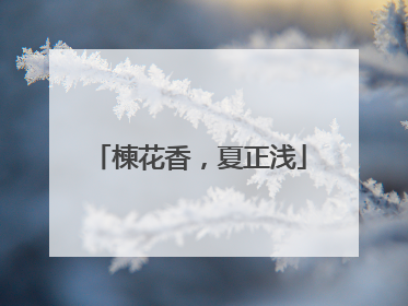 楝花香，夏正浅