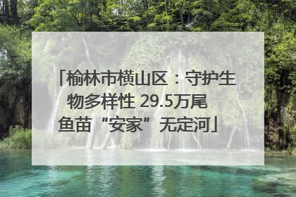 榆林市横山区：守护生物多样性 29.5万尾鱼苗“安家”无定河
