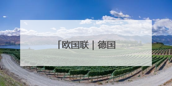 欧国联｜德国不敌葡萄牙