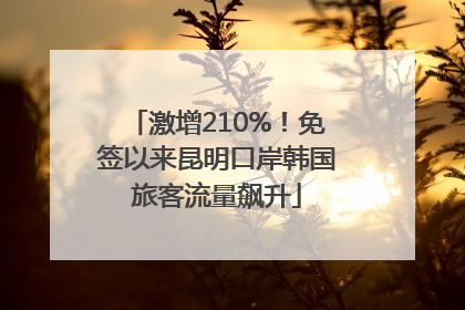 激增210%！免签以来昆明口岸韩国旅客流量飙升
