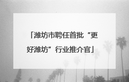 潍坊市聘任首批“更好潍坊”行业推介官