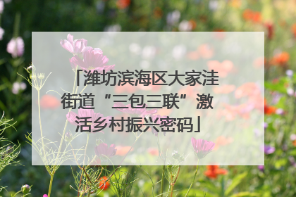 潍坊滨海区大家洼街道“三包三联”激活乡村振兴密码