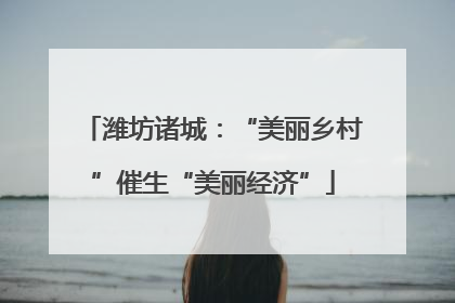 潍坊诸城：“美丽乡村”催生“美丽经济”