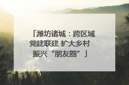 潍坊诸城：跨区域党建联建 扩大乡村振兴“朋友圈”