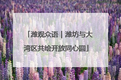潍观众语｜潍坊与大湾区共绘开放同心圆
