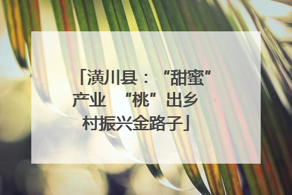 潢川县：“甜蜜”产业  “桃”出乡村振兴金路子
