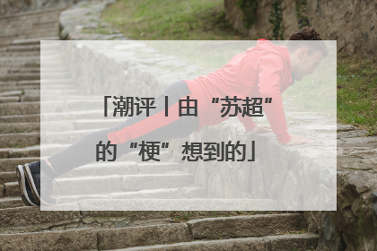 潮评丨由“苏超”的“梗”想到的