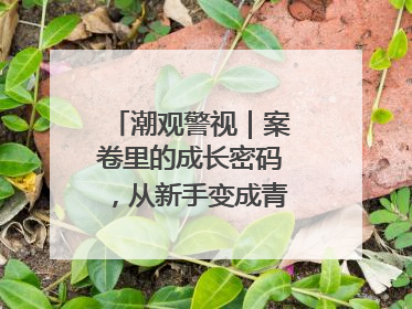 潮观警视｜案卷里的成长密码，从新手变成青年办案探长
