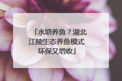 水塘养鱼？湖北江陵生态养鱼模式环保又增收
