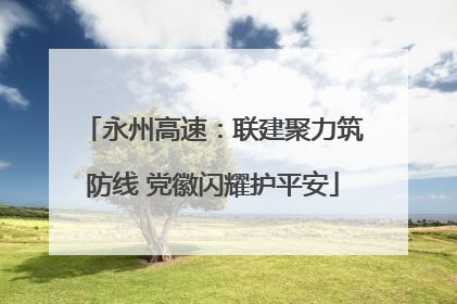 永州高速：联建聚力筑防线 党徽闪耀护平安
