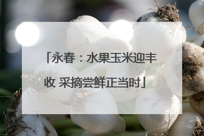 永春：水果玉米迎丰收 采摘尝鲜正当时