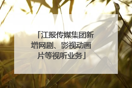 江报传媒集团新增网剧、影视动画片等视听业务