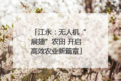 江永：无人机“展翅”农田 开启高效农业新篇章