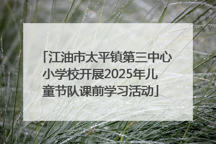 江油市太平镇第三中心小学校开展2025年儿童节队课前学习活动