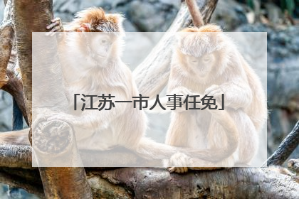 江苏一市人事任免