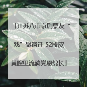 江苏八市京剧票友“戏”聚宿迁 52段皮黄腔里流淌党恩绵长