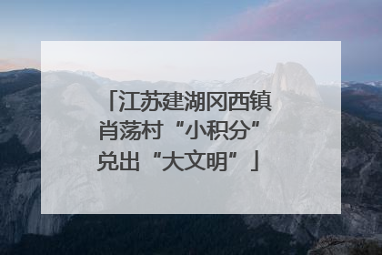江苏建湖冈西镇肖荡村“小积分”兑出“大文明”