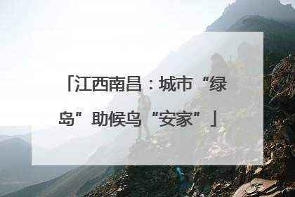 江西南昌：城市“绿岛”助候鸟“安家”