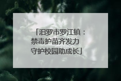 汨罗市罗江镇：禁毒护苗齐发力 守护校园助成长