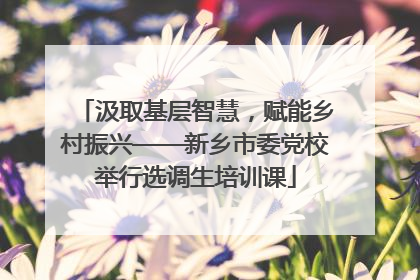 汲取基层智慧，赋能乡村振兴——新乡市委党校举行选调生培训课