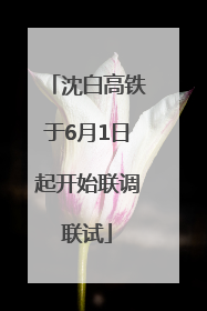 沈白高铁于6月1日起开始联调联试