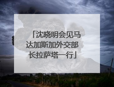 沈晓明会见马达加斯加外交部长拉萨塔一行