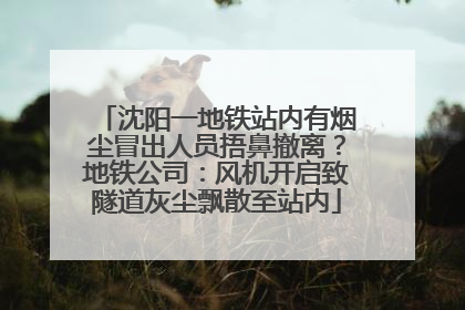 沈阳一地铁站内有烟尘冒出人员捂鼻撤离？地铁公司：风机开启致隧道灰尘飘散至站内
