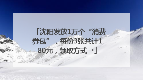 沈阳发放1万个“消费券包”，每份3张共计180元，领取方式→