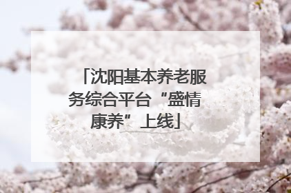 沈阳基本养老服务综合平台“盛情康养”上线