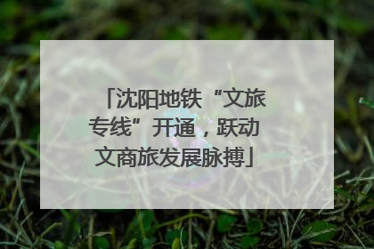 沈阳地铁“文旅专线”开通，跃动文商旅发展脉搏