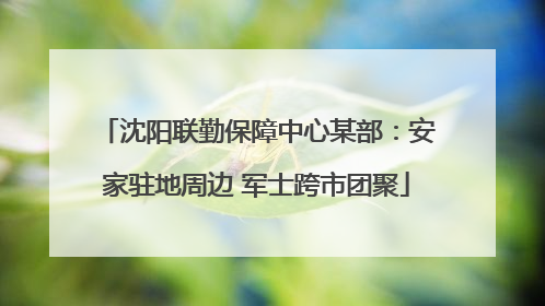 沈阳联勤保障中心某部：安家驻地周边 军士跨市团聚