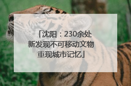 沈阳：230余处新发现不可移动文物重现城市记忆