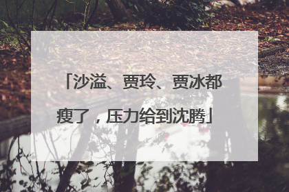 沙溢、贾玲、贾冰都瘦了，压力给到沈腾