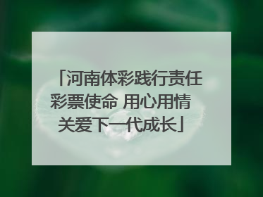 河南体彩践行责任彩票使命 用心用情关爱下一代成长