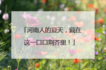 河南人的夏天，藏在这一口口荆芥里！