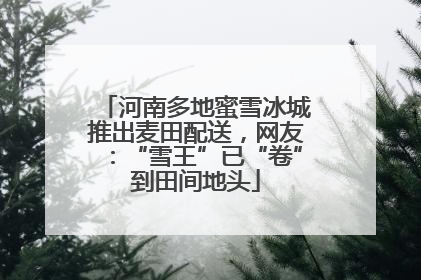 河南多地蜜雪冰城推出麦田配送，网友：“雪王”已“卷”到田间地头