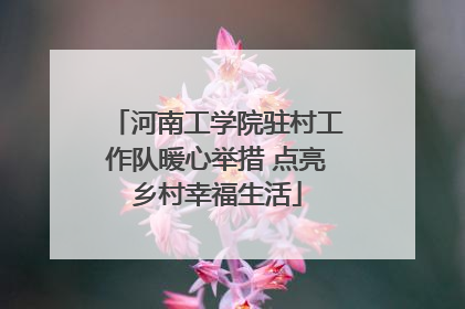 河南工学院驻村工作队暖心举措 点亮乡村幸福生活