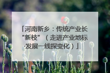 河南新乡：传统产业长“新枝”（走进产业地标·发展一线探变化）