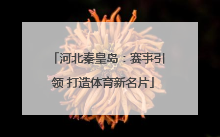 河北秦皇岛：赛事引领 打造体育新名片